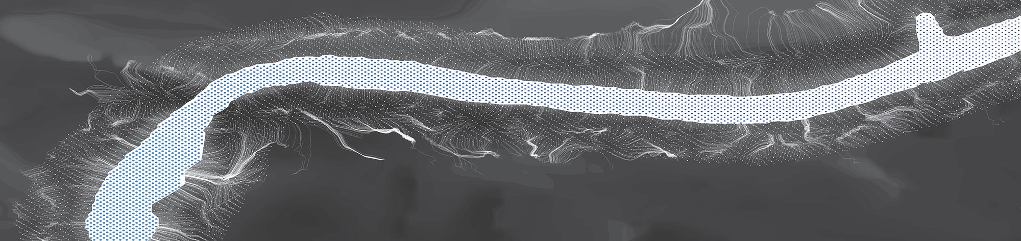 Surface water flow paths across a littoral region