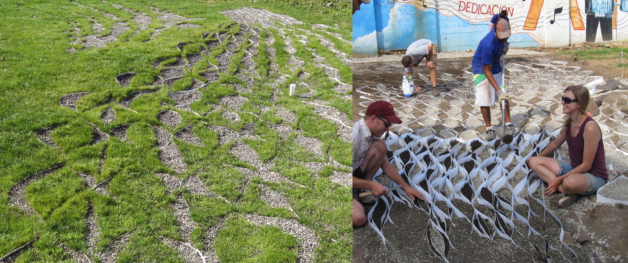 The parametrically-controlled geo-textile system following initial regrowth.